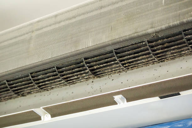 Best Local Air Duct Cleaning Services  in Charter Oak, CA